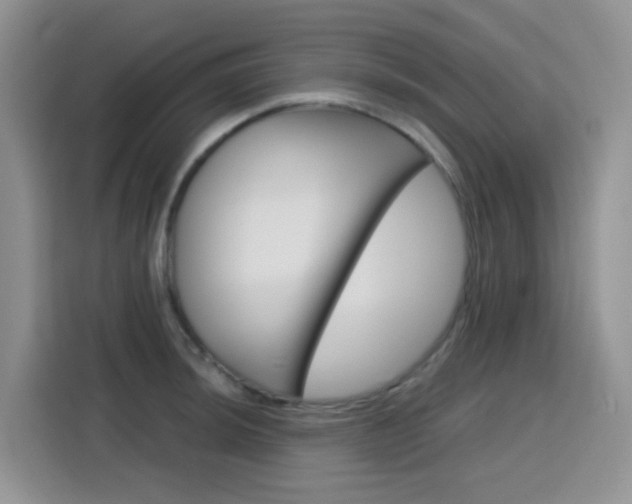 X0000116151044200911230947