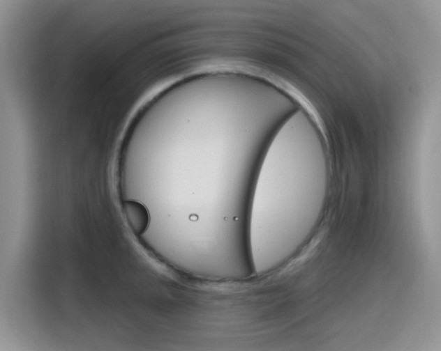 X0000116151045200911230948