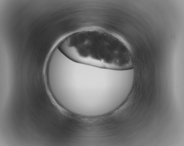X0000116151046200911230948