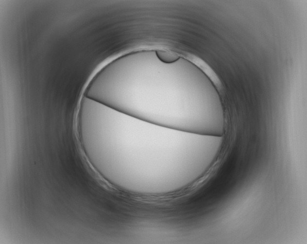 X0000116151052200911230948