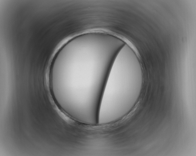 X0000116151054200911230948