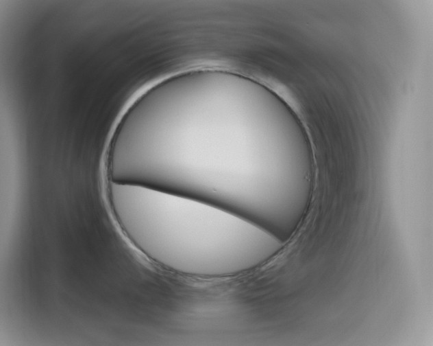X0000116151056200911230948