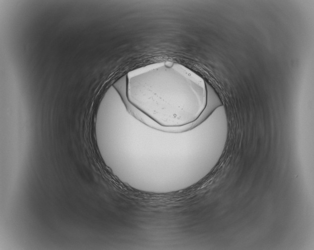 X0000116151057200911230947