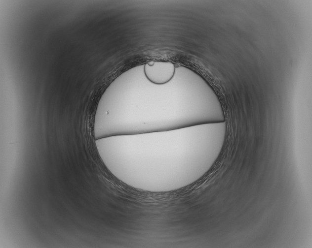X0000116151058200911230947