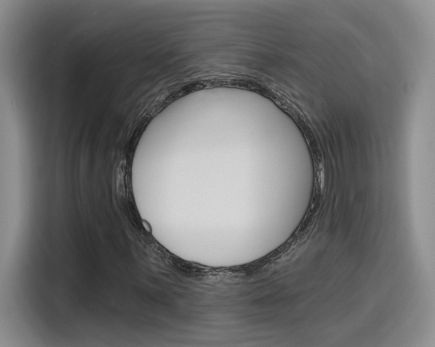 X0000116151059200911230947