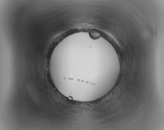 X0000116151063200911230947
