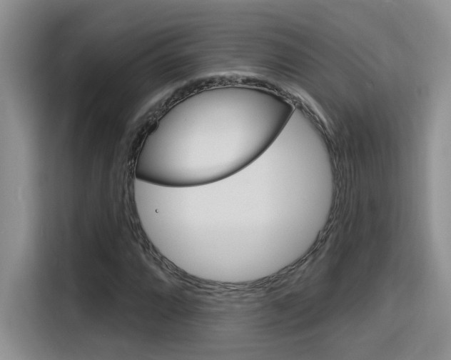 X0000116151064200911230947