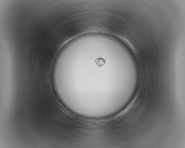 X0000116151065200911230947