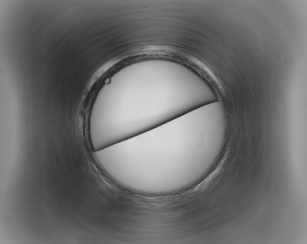 X0000116151066200911230947