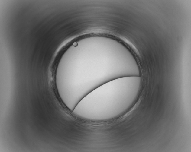 X0000116151070200911230947