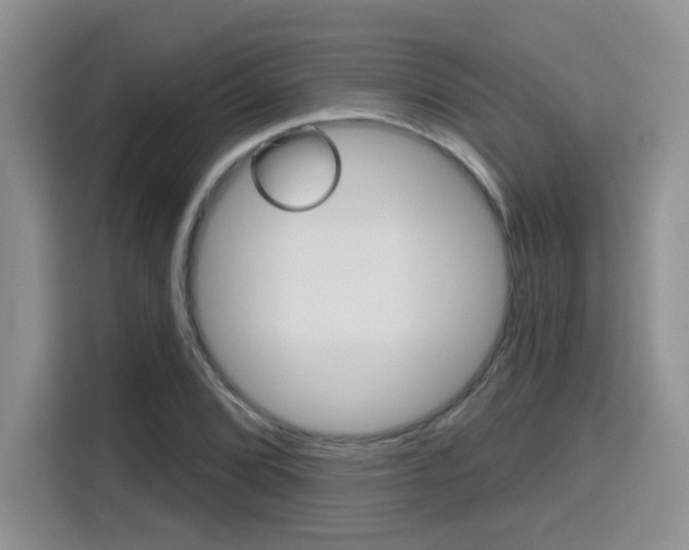 X0000116151072200911230947