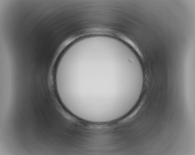 X0000116151074200911230947