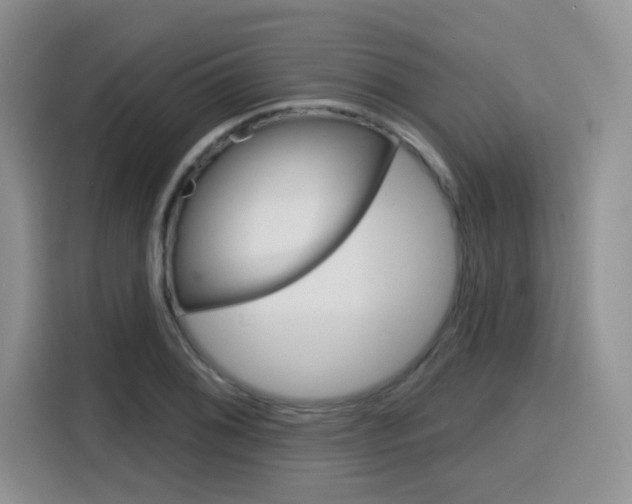 X0000116151076200911230947