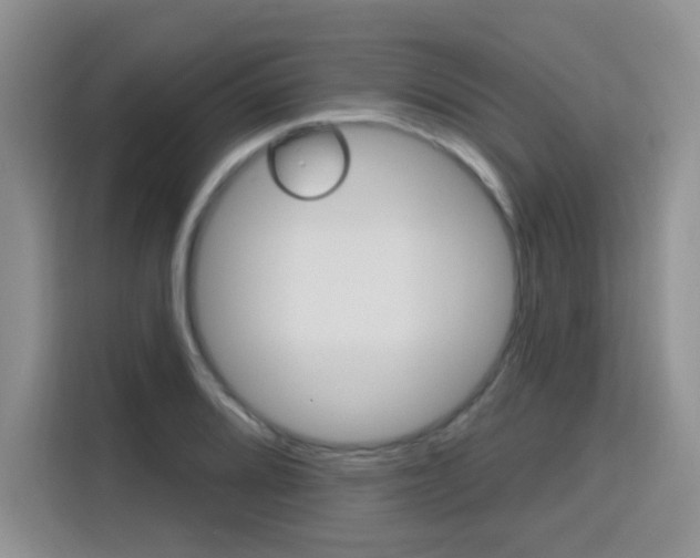 X0000116151080200911230947
