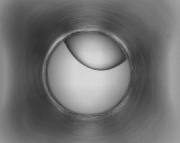 X0000116151085200911230947