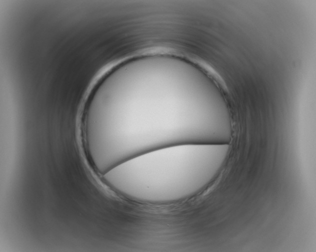 X0000116151086200911230947