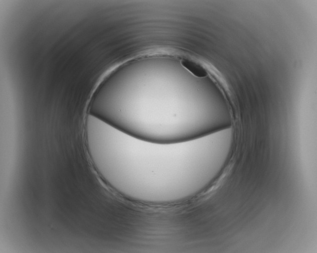 X0000116151089200911230947