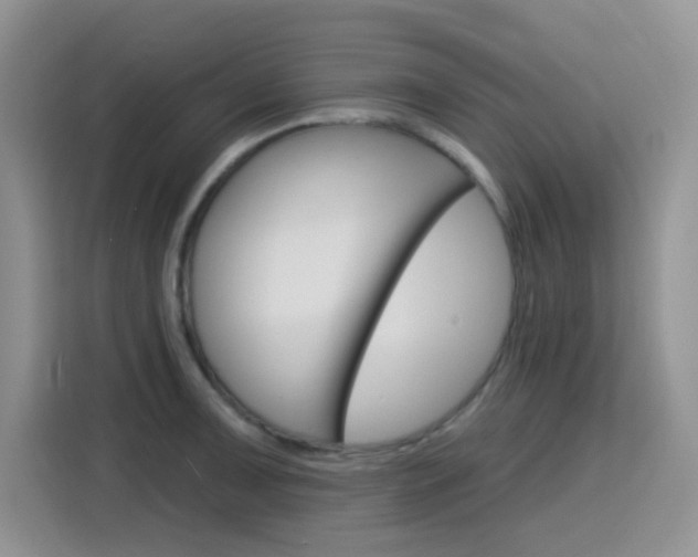 X0000116151091200911230947