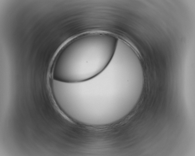 X0000116151092200911230947