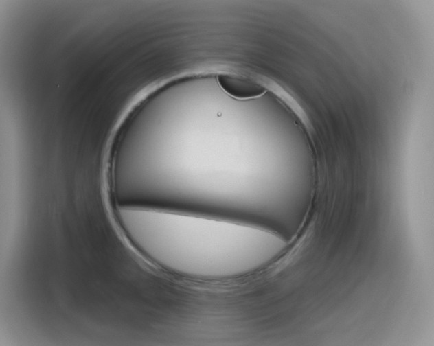 X0000116151093200911230947