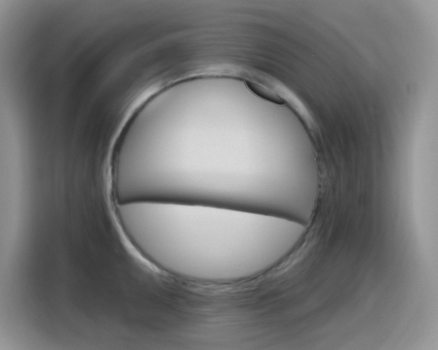 X0000116151095200911230947