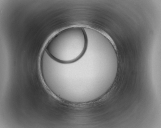 X0000116151096200911230947