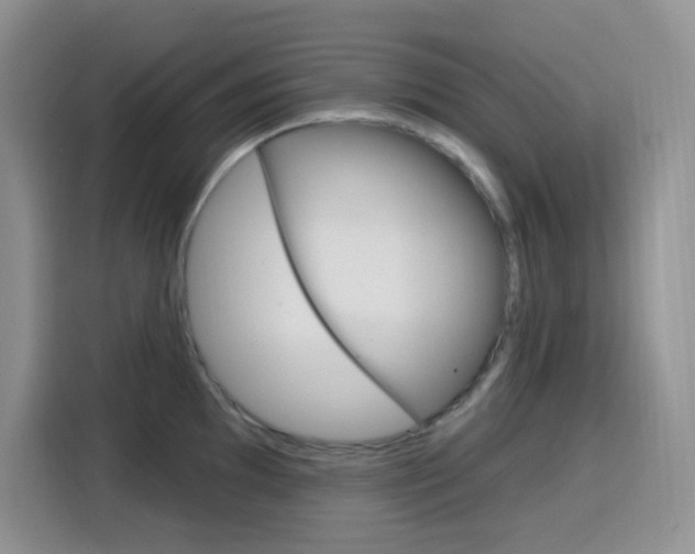 X0000116151097200911230947