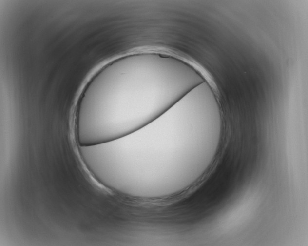 X0000116151102200911230946