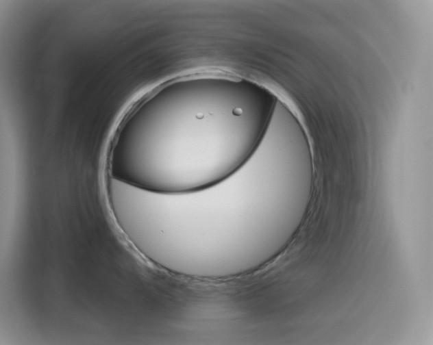 X0000116151104200911230946