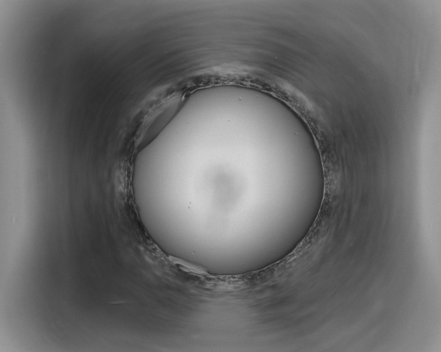 X0000116151110200911230946