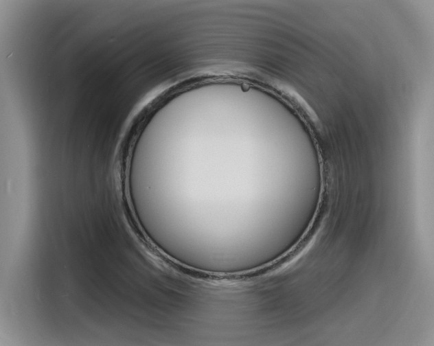 X0000116151114200911230946