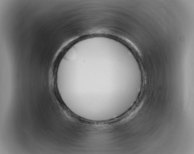 X0000116151117200911230946