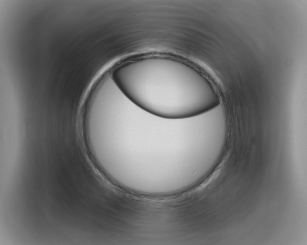 X0000116151118200911230946