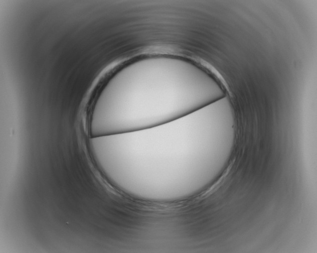 X0000116151123200911230946