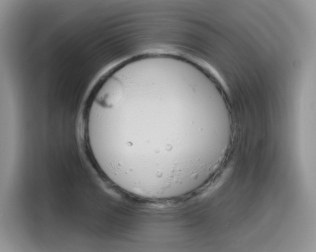 X0000116151125200911230946