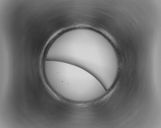 X0000116151126200911230946