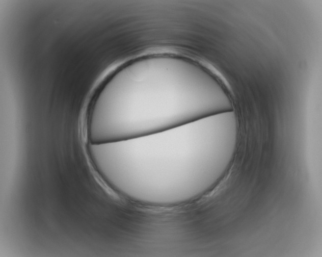 X0000116151127200911230946