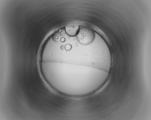 X0000116151130200911230946