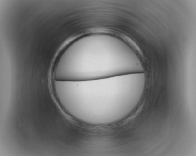X0000116151133200911230946