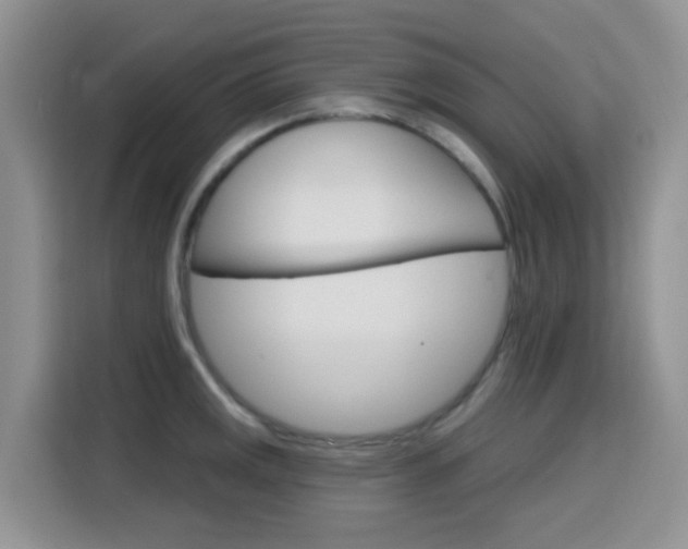 X0000116151141200911230946