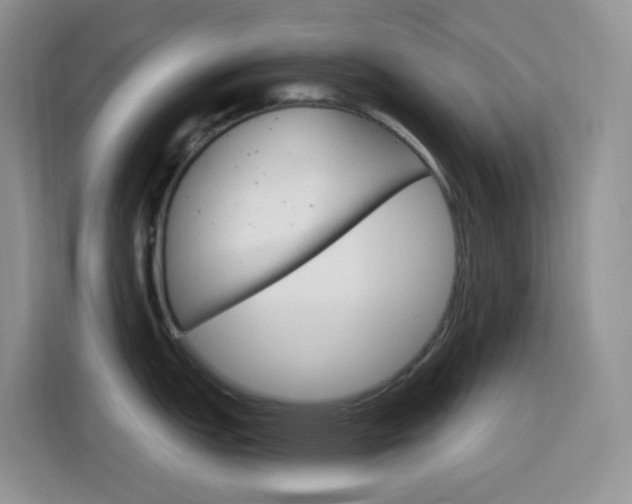 X0000116151151200911230946