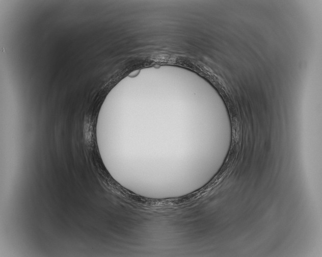 X0000116151154200911230946