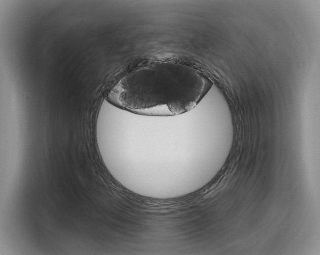 X0000116151156200911230946