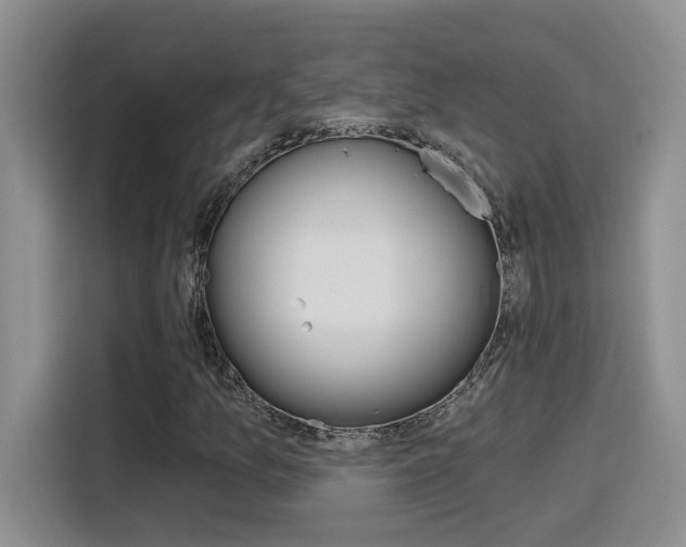 X0000116151157200911230946