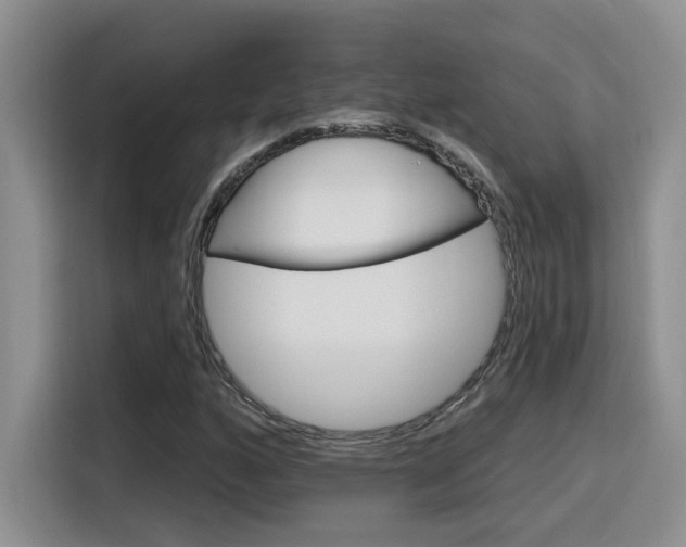 X0000116151160200911230946