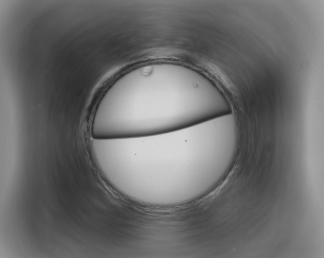X0000116151164200911230946