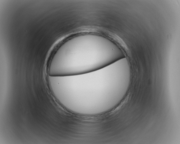 X0000116151172200911230946