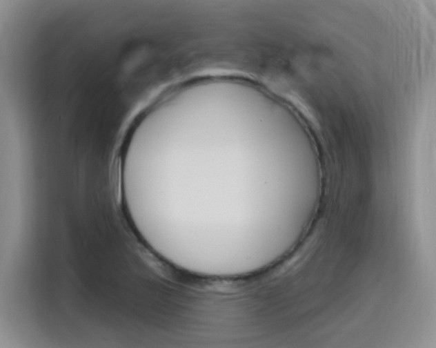 X0000116151175200911230945