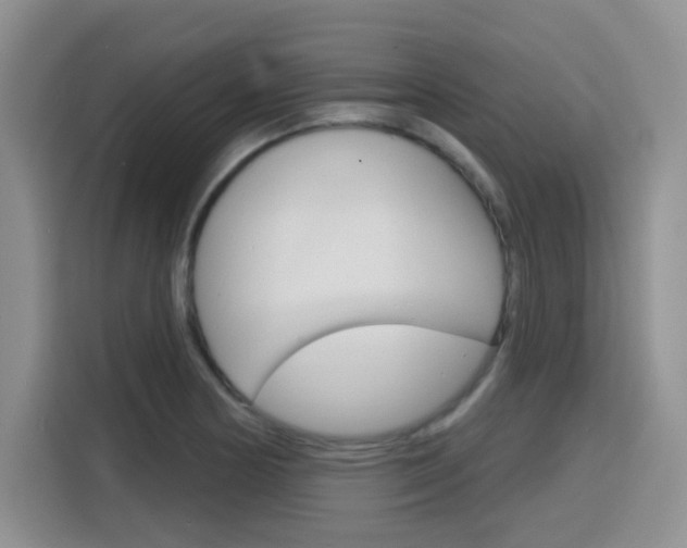 X0000116151178200911230945