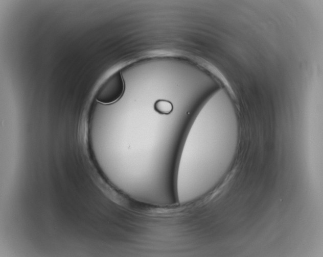 X0000116151179200911230945